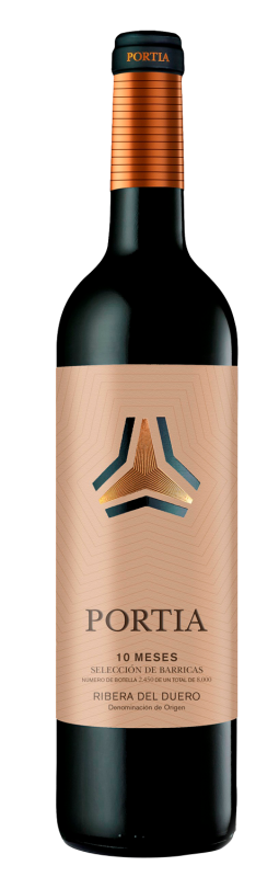 botella