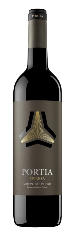 botella