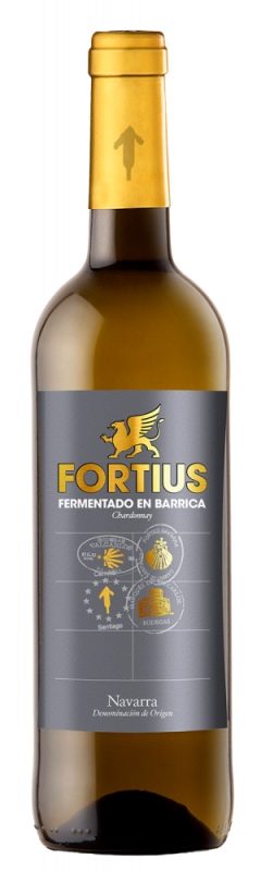 botella