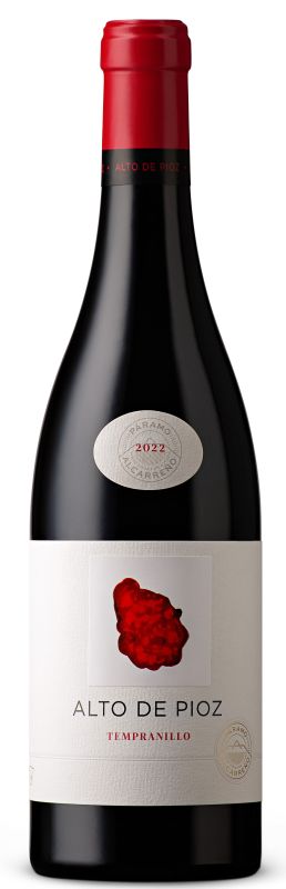 botella