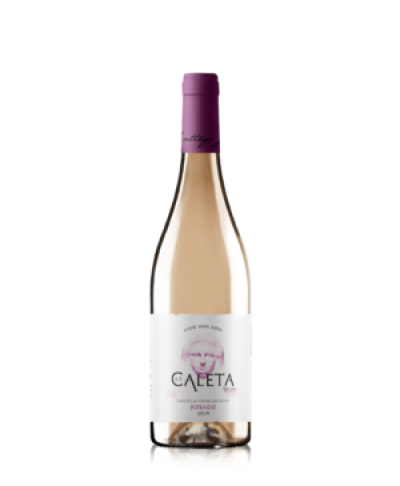 botella
