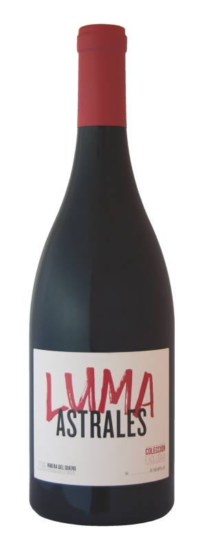 botella