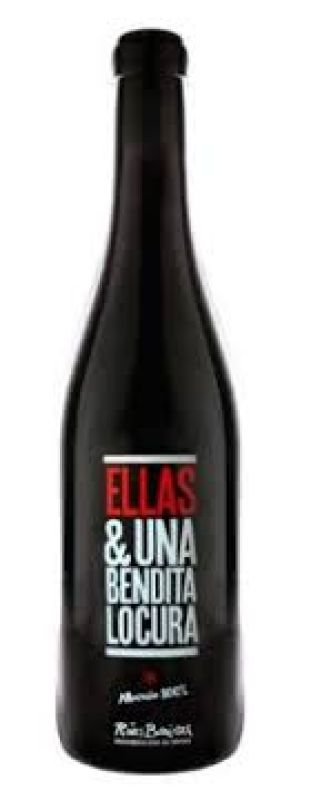 botella